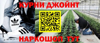 прущие крисы Гудермес