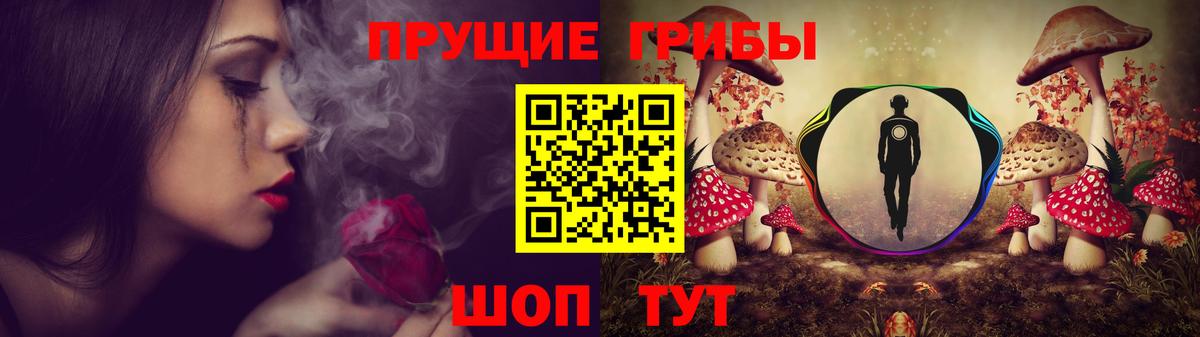 Псилоцибиновые грибы Psilocybe  Вход с VPN  Галлюциногенные грибы GOLDEN TEACHER  Ивантеевка 